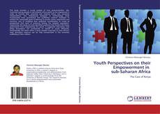 Youth Perspectives on their Empowerment in sub-Saharan Africa kitap kapağı