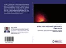 Bookcover of Geothermal Development in Indonesia