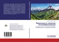 Buchcover von Пирогенез и таежное почвообразование