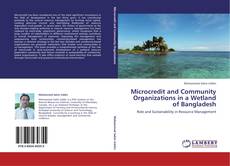 Microcredit and Community Organizations in a Wetland of Bangladesh kitap kapağı
