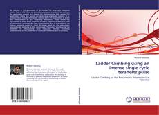 Buchcover von Ladder Climbing using an intense single cycle terahertz pulse