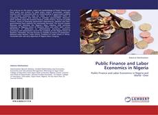 Bookcover of Public Finance and Labor Economics in Nigeria