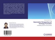 Capa do livro de Geometric Perspective of Entropy Function 