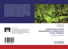 Capa do livro de Collaborative Forest Management in Belete Gera Forest, Ethiopia 
