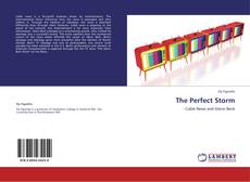 Bookcover of The Perfect Storm