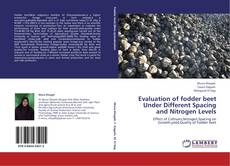 Bookcover of Evaluation of fodder beet  Under Different Spacing and Nitrogen Levels