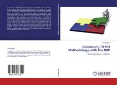 Bookcover of Combining DEMO Methodology with the RUP