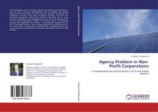 Portada del libro de Agency Problem in Non-Profit Corporations