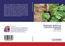 Couverture de Molecular studies on induction of genetic variation