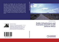 Bookcover of Public Infrastructure and Economic Growth in Sub Saharan Africa