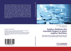 Sulphur Oxidizers:the microbial helpers in plant sulphur Nutrition kitap kapağı