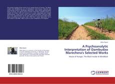 A Psychoanalytic Interpretation of Dambudzo Marechera's Selected Works的封面