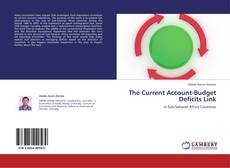 The Current Account-Budget Deficits Link kitap kapağı