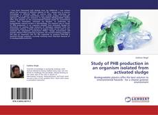 Portada del libro de Study of PHB production in an organism isolated from activated sludge