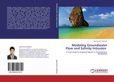 Modeling Groundwater Flow and Salinity Intrusion kitap kapağı