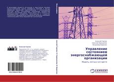Bookcover of Управление состоянием энергоснабжающей организации