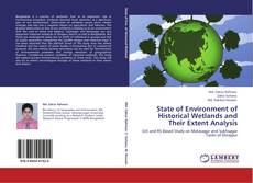 State of Environment of Historical Wetlands and Their Extent Analysis kitap kapağı