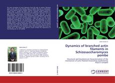 Обложка Dynamics of branched actin filaments in Schizosaccharomyces pombe