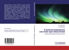 Bookcover of Стриопаллидарная система при облучении