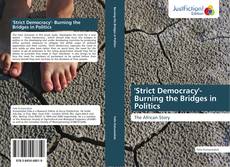 'Strict Democracy'- Burning the Bridges in Politics的封面