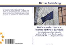 EU-Kommission. Was u.a. Thomas Dörflinger dazu sagt kitap kapağı