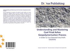 Understanding and Mastering Coal Fired Ashes Geopolymerisation Process kitap kapağı