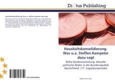 Haushaltskonsolidierung. Was u.a. Steffen Kampeter dazu sagt的封面