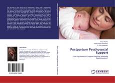 Bookcover of Postpartum Psychosocial Support