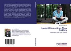 Capa do livro de Irreducibility on Open Shop Problem 