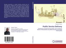 Public Service Delivery kitap kapağı