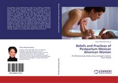 Capa do livro de Beliefs and Practices of Postpartum Mexican American Women 