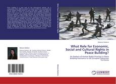 What Role for Economic, Social and Cultural Rights in Peace Building? kitap kapağı