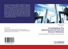 Buchcover von Investigating The Determinants of Current Account Balances