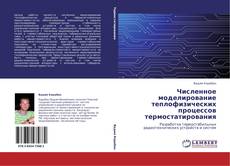 Buchcover von Численное моделирование теплофизических процессов термостатирования