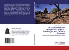 Couverture de Small and Medium Enterprise in Nigeria: Challenges and Growth Prospect