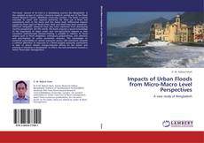 Bookcover of Impacts of Urban Floods from Micro-Macro Level Perspectives