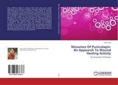 Bookcover of Niosomes Of Punicalagin: An Appoarch To Wound Healing Activity