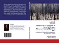 Capa do livro de Wildfire Management in Terms of Project Management of Sentinel Asia 