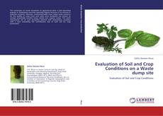 Evaluation of Soil and Crop Conditions on a Waste dump site kitap kapağı