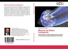 Minería de Datos Inteligente kitap kapağı