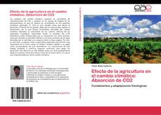 Обложка Efecto de la agricultura en el cambio climático: Absorción de CO2