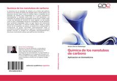 Buchcover von Química de los nanotubos de carbono