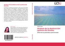 Análisis de la destrucción química de fenoles kitap kapağı