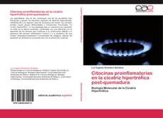 Buchcover von Citocinas proinflamatorias en la cicatriz hipertrófica post-quemadura