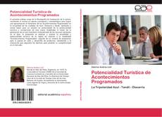 Buchcover von Potencialidad Turística de Acontecimientos Programados