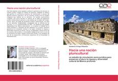 Bookcover of Hacia una nación pluricultural
