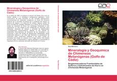 Portada del libro de Mineralogía y Geoquímica de Chimeneas Metanógenas (Golfo de Cádiz)
