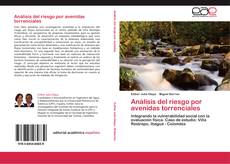 Bookcover of Análisis del riesgo por avenidas torrenciales