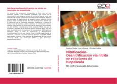 Buchcover von Nitrificación-Desnitrificación vía nitrito en reactores de biopelícula