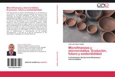 Capa do livro de Microfinanzas y microcréditos. Evolución, futuro y sostenibilidad 